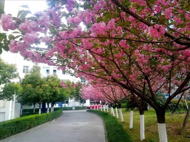 职等你来!剑阁职中2023年公开招聘教师17名